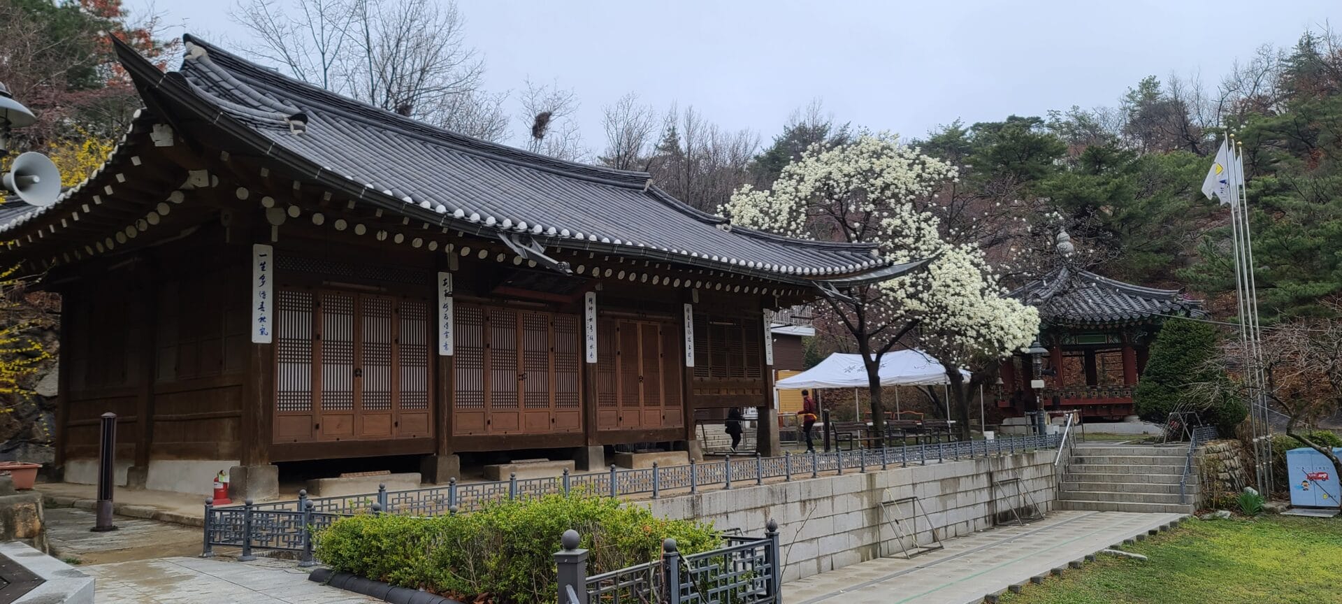 [활쏘기] 황학정과 목련