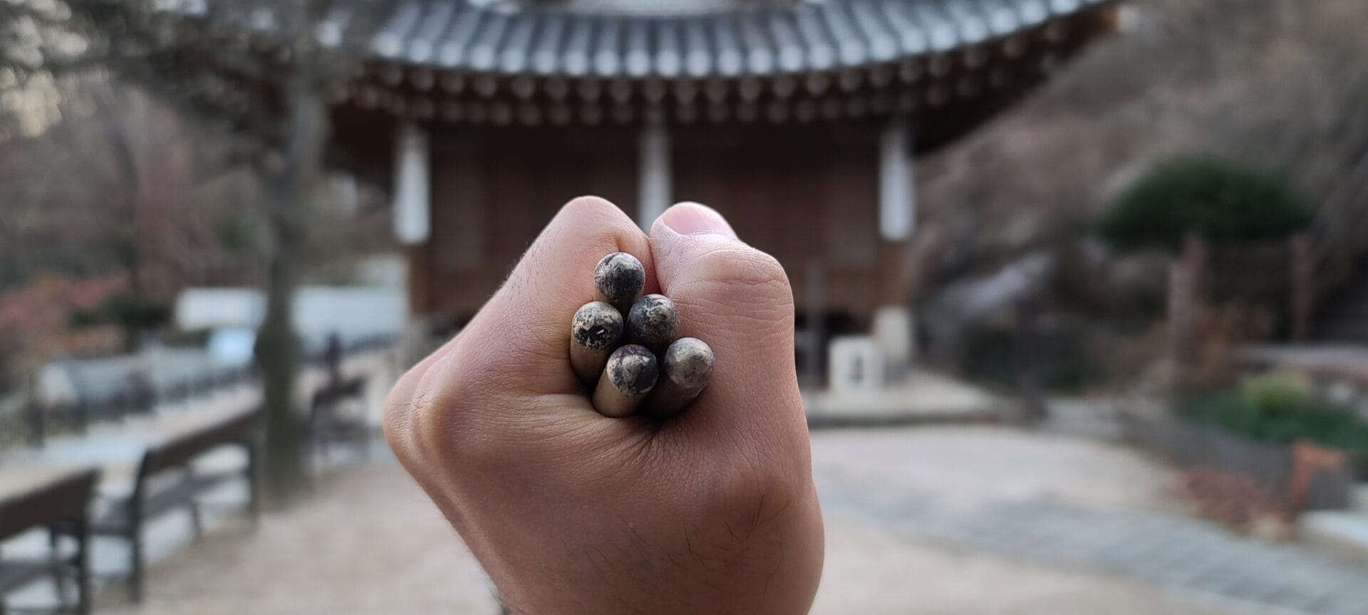 [활쏘기] 오랜만에 다시 몰기 살