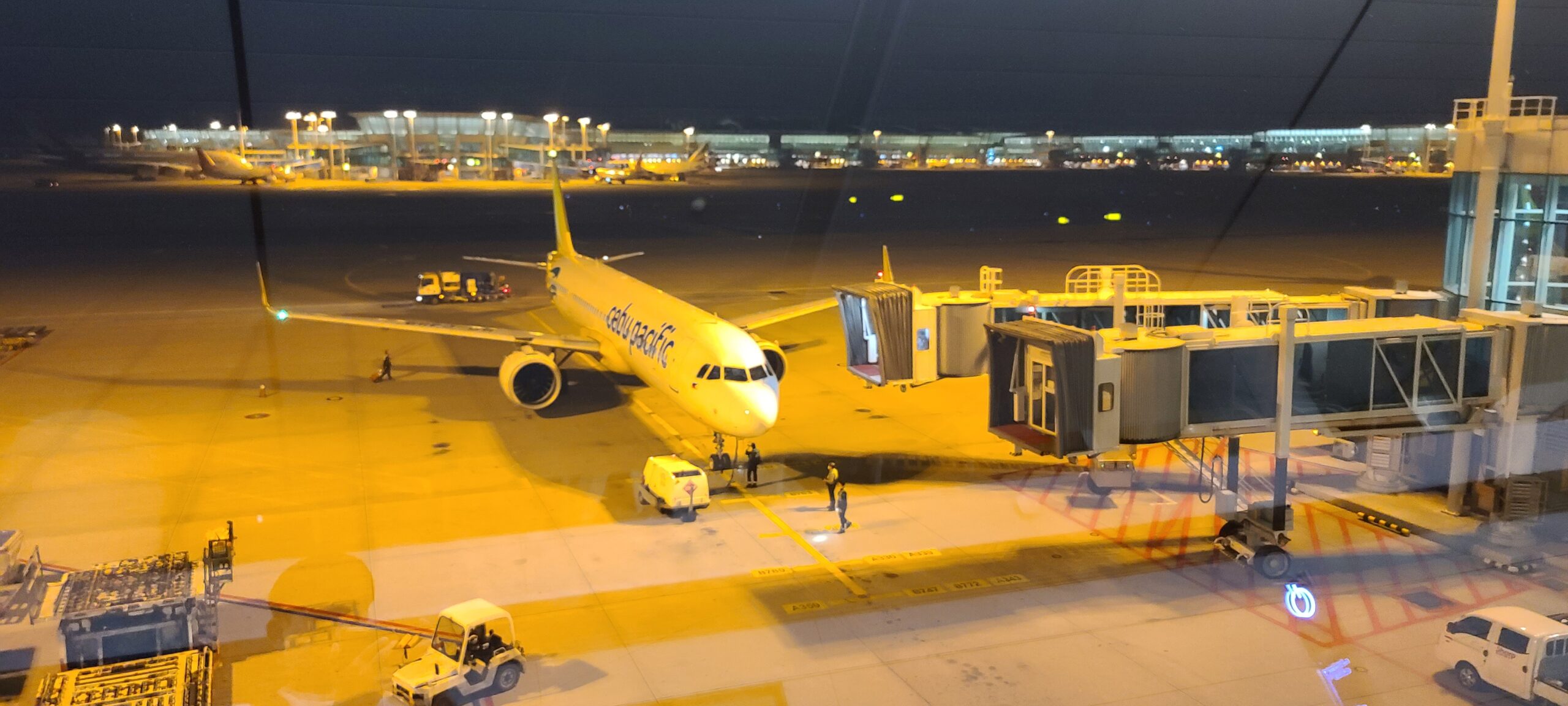 [필리핀(1)] 세부퍼시픽항공 타고 마닐라 입국하기