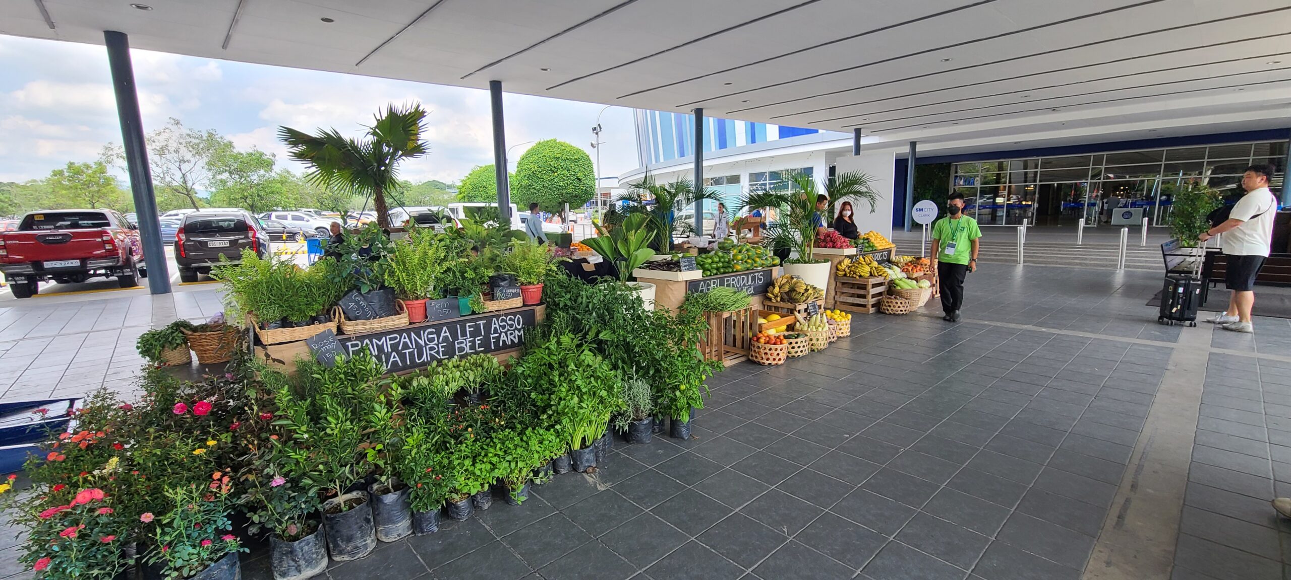 [필리핀(5)] 앙헬레스에서 마닐라로 이동하기